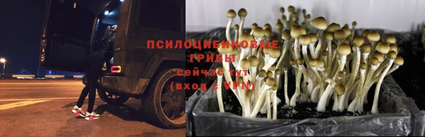 мяу мяу кристалл Алексин