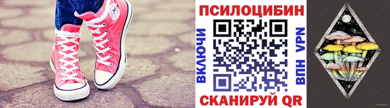 сколько стоит  Когалым  Псилоцибиновые грибы прущие грибы 